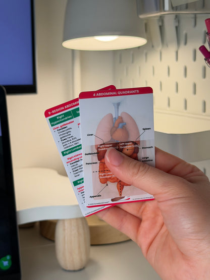 Abdominal Assessment Bundle