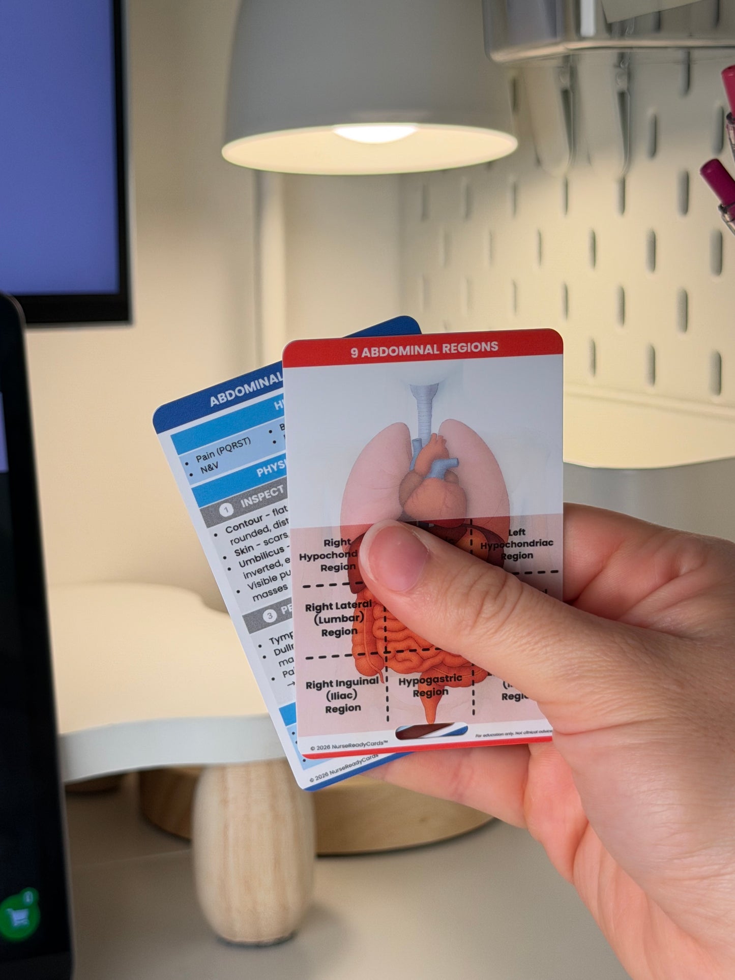 Abdominal Assessment Bundle