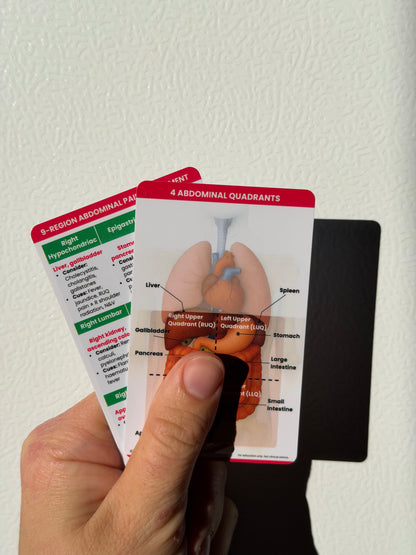 Abdominal Assessment Bundle